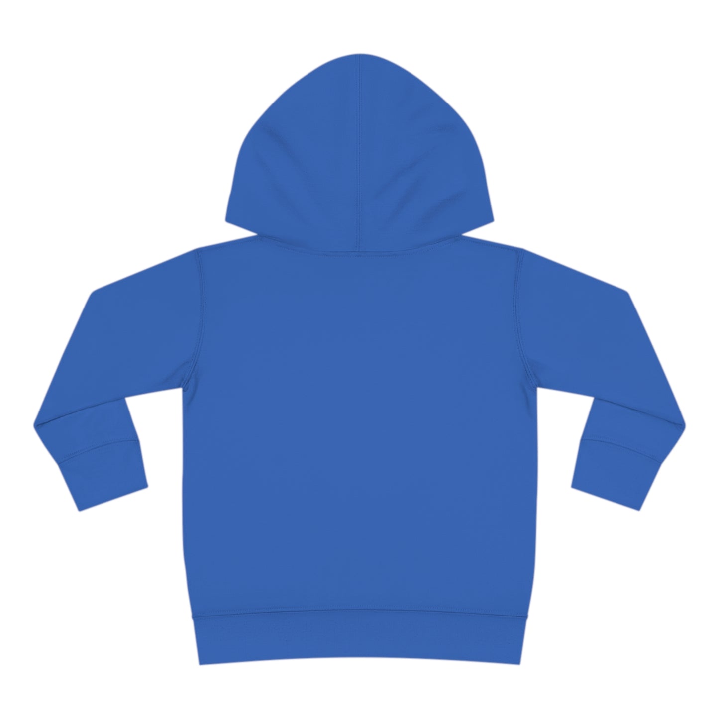 Blue Somewhere Over the Rainbow 💙🌈 WRT ECC Toddler Hoodie