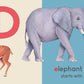 Carry Me: Animal Alphabet book with soft handle. Fun illustrations teach letters with animals. Perfect for kids!