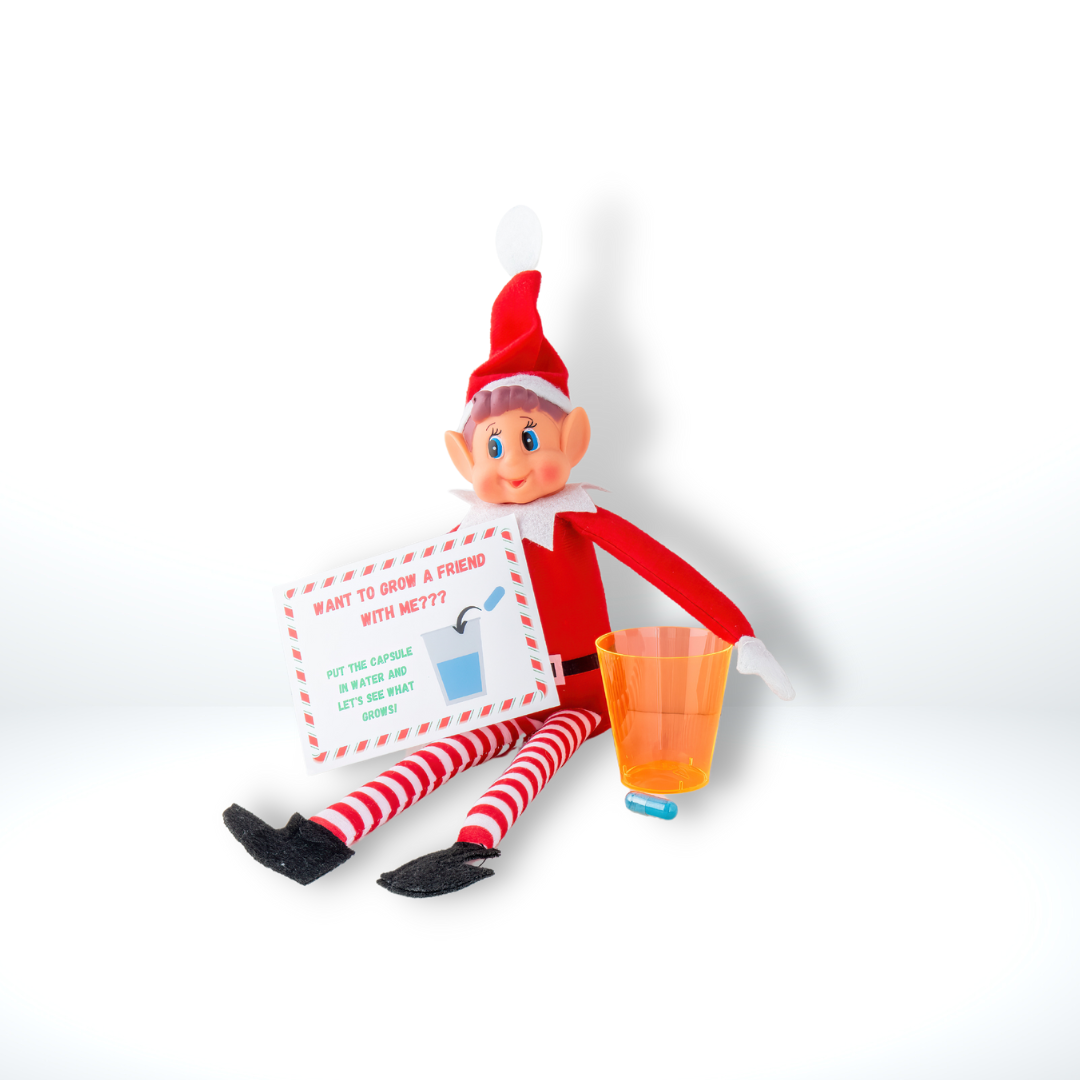 Elf Antics Kit for Christmas, available in 12-day and 24-day options with bonus days, featuring pre-planned elf scenes, activities like movie night, elf car wash, and balloon animals, perfect for holiday fun.