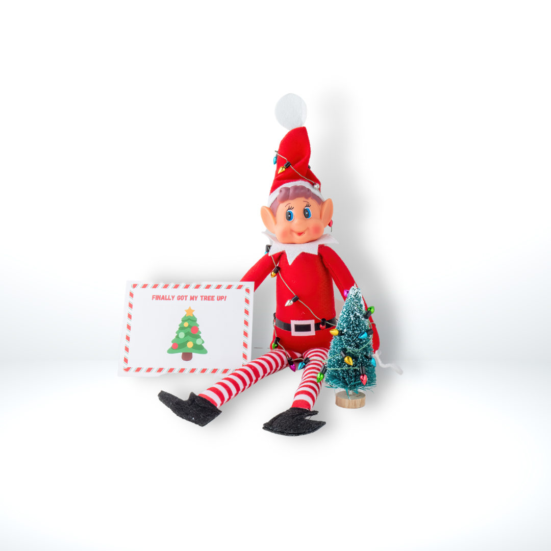 Elf Antics Kit for Christmas, available in 12-day and 24-day options with bonus days, featuring pre-planned elf scenes, activities like movie night, elf car wash, and balloon animals, perfect for holiday fun.