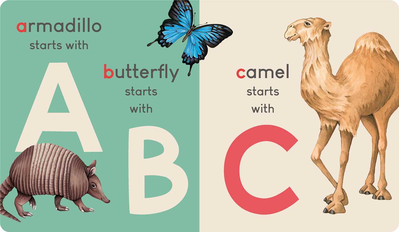 Carry Me: Animal Alphabet book with soft handle. Fun illustrations teach letters with animals. Perfect for kids!