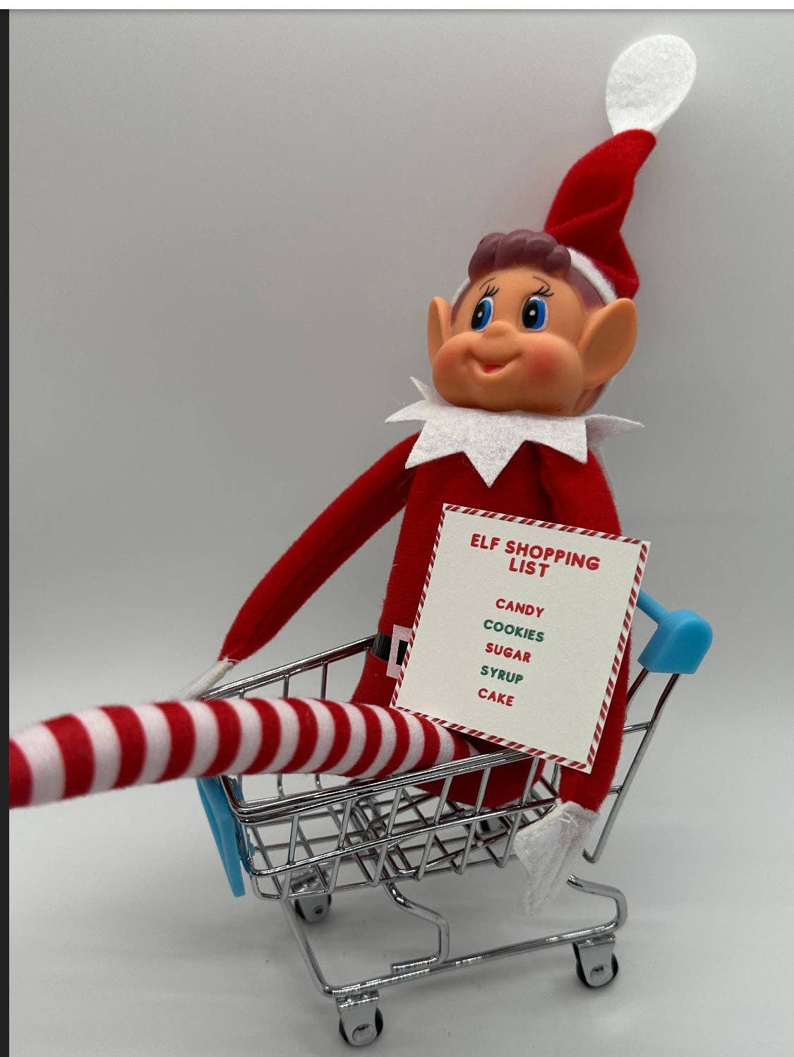 Elf Antics Kit for Christmas, available in 12-day and 24-day options with bonus days, featuring pre-planned elf scenes, activities like movie night, elf car wash, and balloon animals, perfect for holiday fun.