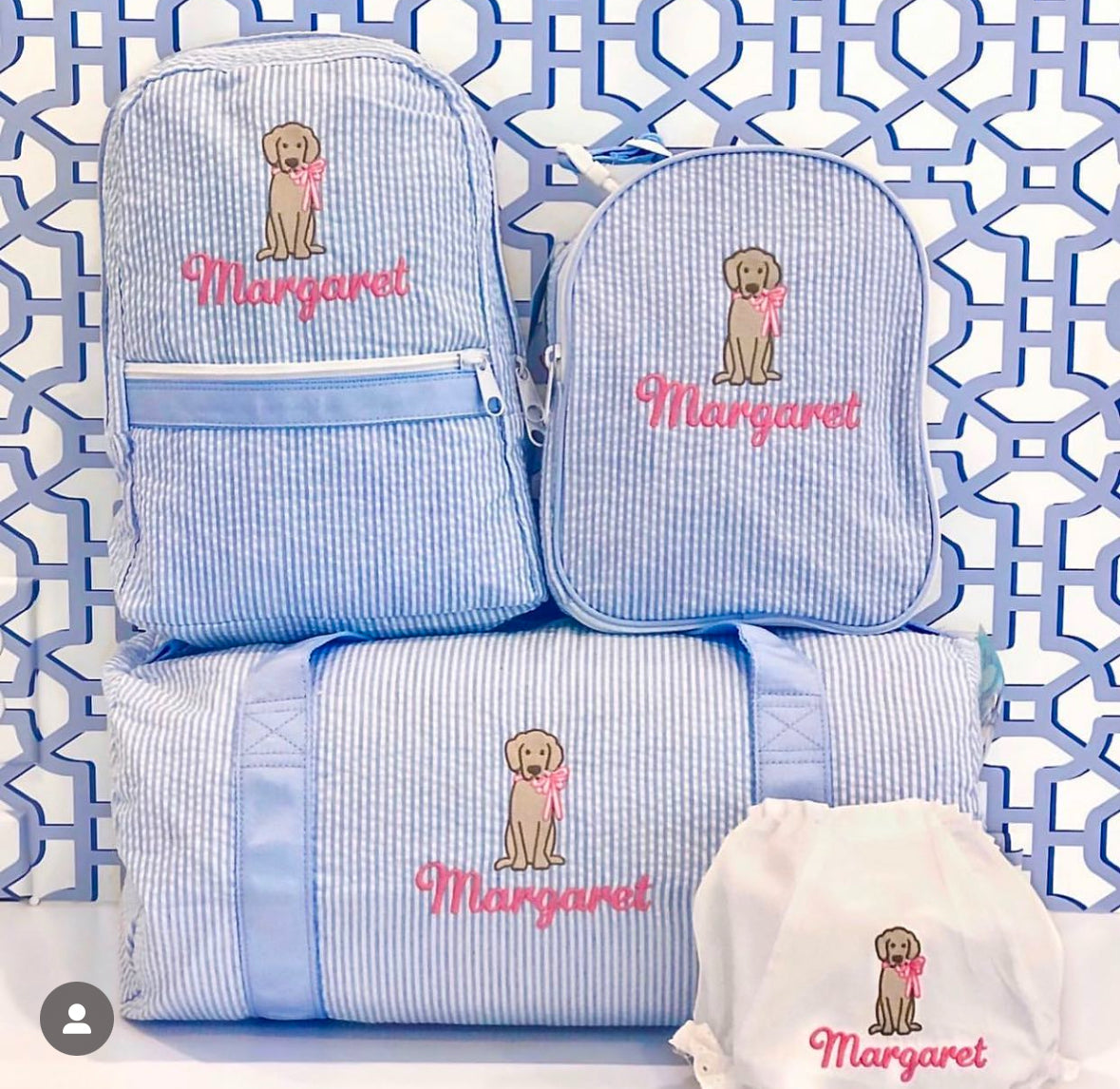 Explorer baby blue gingham small backpack, personalized for toddlers & fashionistas. Fits iPad, makeup, credit cards. Washable.