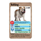 Top Trumps Dogs: Discover fun facts about dog breeds, from Huskies to Chihuahuas, and compare sizes, cuteness, and rarity!